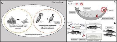 Mechanisms Involving Sensory Pathway Steps Inform Impacts of Global Climate Change on Ecological Processes